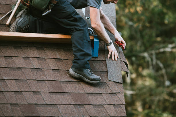 Best Metal Roofing Contractor  in Perham, MN
